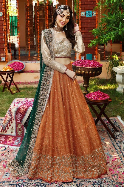 Aisha Imran Orange Bridal Collection Net - Replica